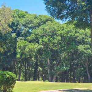 Photo #30 of 476 Lake Shore, Sunset Beach, NC 0.3 acres