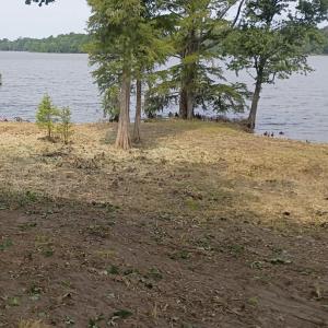 Photo #5 of 183 Herring, Merry Hill, NC 0.5 acres