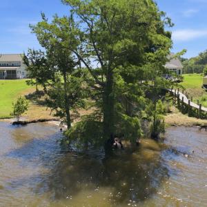 Photo #13 of 183 Herring, Merry Hill, NC 0.5 acres