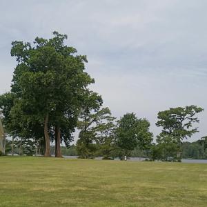 Photo #6 of 183 Herring, Merry Hill, NC 0.5 acres