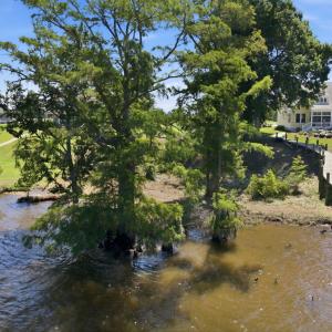 Photo #8 of 183 Herring, Merry Hill, NC 0.5 acres