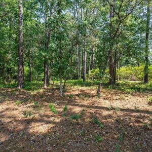 Photo #8 of 3840 Timber Stream, Southport, NC 0.7 acres