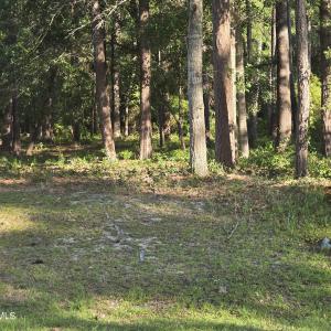 Photo #1 of 3840 Timber Stream, Southport, NC 0.7 acres