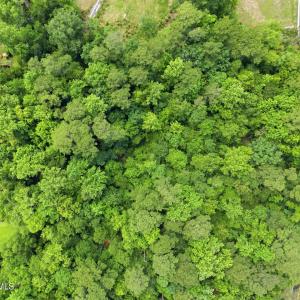 Photo #15 of 200-202 Creekview, Hampstead, NC 1.8 acres