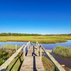 Photo #18 of 303 Mayflower, Newport, NC 1.8 acres