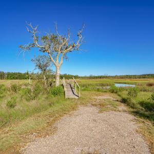 Photo #17 of 303 Mayflower, Newport, NC 1.8 acres
