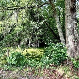 Photo #7 of Lt 284-288 Near 250 Waccamaw Sh Road, Lake Waccamaw, NC 0.4 acres