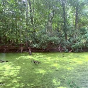 Photo #8 of Lt 284-288 Near 250 Waccamaw Sh Road, Lake Waccamaw, NC 0.4 acres