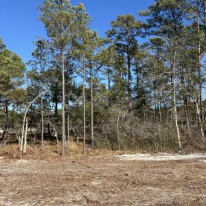 Photo #1 of Lot 138 Coral Gull, Southport, NC 0.2 acres