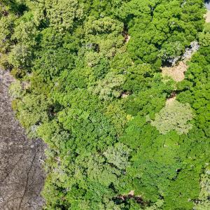 Photo #2 of 2905 Island, Bolivia, NC 0.6 acres