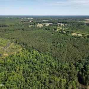 Photo #11 of 33 Heathsville, Enfield, NC 37.2 acres