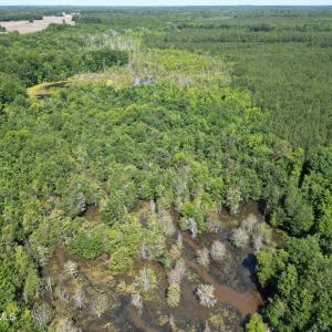 Photo #7 of 33 Heathsville, Enfield, NC 37.2 acres