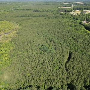 Photo #4 of 33 Heathsville, Enfield, NC 37.2 acres