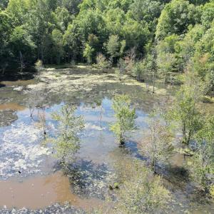 Photo #16 of 33 Heathsville, Enfield, NC 37.2 acres