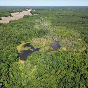 Photo #5 of 33 Heathsville, Enfield, NC 37.2 acres