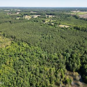 Photo #10 of 33 Heathsville, Enfield, NC 37.2 acres