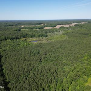 Photo #3 of 33 Heathsville, Enfield, NC 37.2 acres