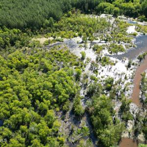 Photo #15 of 33 Heathsville, Enfield, NC 37.2 acres