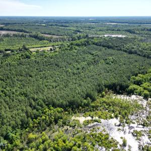 Photo #13 of 33 Heathsville, Enfield, NC 37.2 acres