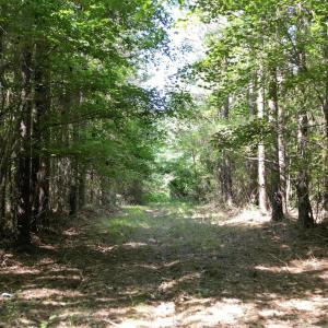 Photo #19 of 33 Heathsville, Enfield, NC 37.2 acres