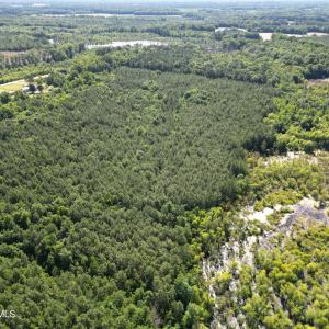 Photo #12 of 33 Heathsville, Enfield, NC 37.2 acres