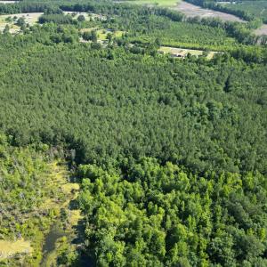 Photo #9 of 33 Heathsville, Enfield, NC 37.2 acres