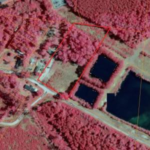 Photo #6 of Near 205 Graham, Fair Bluff, NC 3.6 acres