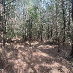 Photo #17 of 2364 Nc 102, Ayden, NC 81.2 acres