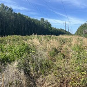 Photo #23 of 2364 Nc 102, Ayden, NC 81.2 acres