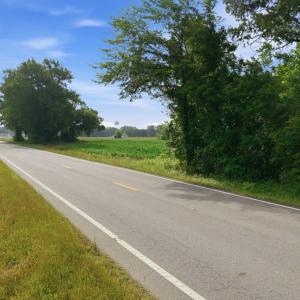Photo #10 of 2364 Nc 102, Ayden, NC 81.2 acres
