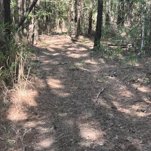 Photo #18 of 2364 Nc 102, Ayden, NC 81.2 acres
