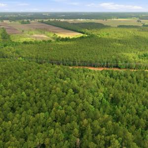 Photo #12 of 2364 Nc 102, Ayden, NC 81.2 acres