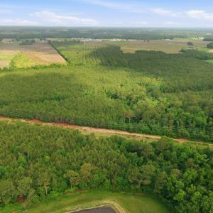Photo #11 of 2364 Nc 102, Ayden, NC 81.2 acres