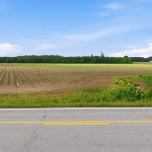 Photo #1 of 2364 Nc 102, Ayden, NC 81.2 acres