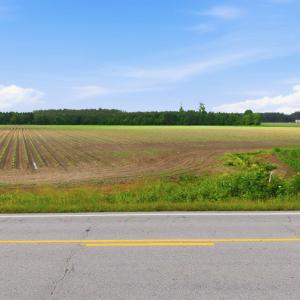 Photo #9 of 2364 Nc 102, Ayden, NC 81.2 acres