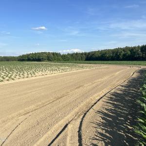 Photo #29 of 2364 Nc 102, Ayden, NC 81.2 acres