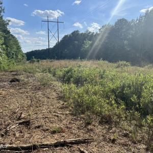 Photo #22 of 2364 Nc 102, Ayden, NC 81.2 acres