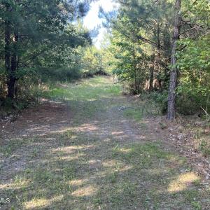 Photo #25 of 2364 Nc 102, Ayden, NC 81.2 acres