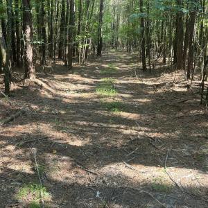 Photo #19 of 2364 Nc 102, Ayden, NC 81.2 acres