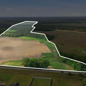 Photo #4 of 2364 Nc 102, Ayden, NC 81.2 acres