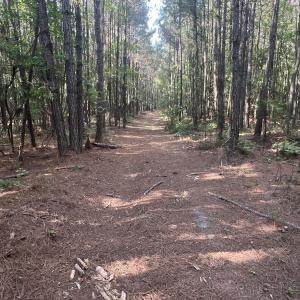 Photo #24 of 2364 Nc 102, Ayden, NC 81.2 acres