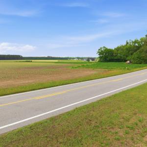 Photo #8 of 2364 Nc 102, Ayden, NC 81.2 acres