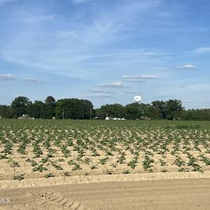 Photo #28 of 2364 Nc 102, Ayden, NC 81.2 acres