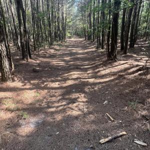 Photo #21 of 2364 Nc 102, Ayden, NC 81.2 acres