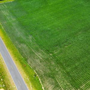 Photo #13 of Tbd Farmers Union, Clarkton, NC 19.1 acres