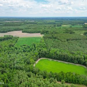 Photo #12 of Tbd Farmers Union, Clarkton, NC 19.1 acres