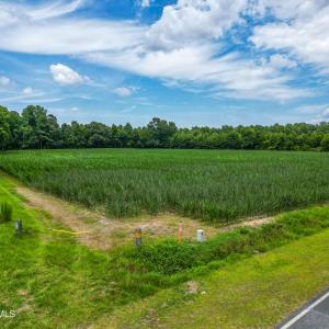 Photo #4 of Tbd Farmers Union, Clarkton, NC 19.1 acres
