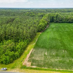 Photo #8 of Tbd Farmers Union, Clarkton, NC 19.1 acres