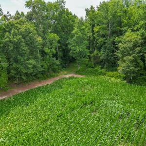 Photo #7 of Tbd Farmers Union, Clarkton, NC 19.1 acres