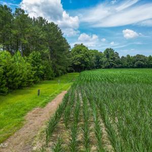 Photo #9 of Tbd Farmers Union, Clarkton, NC 19.1 acres